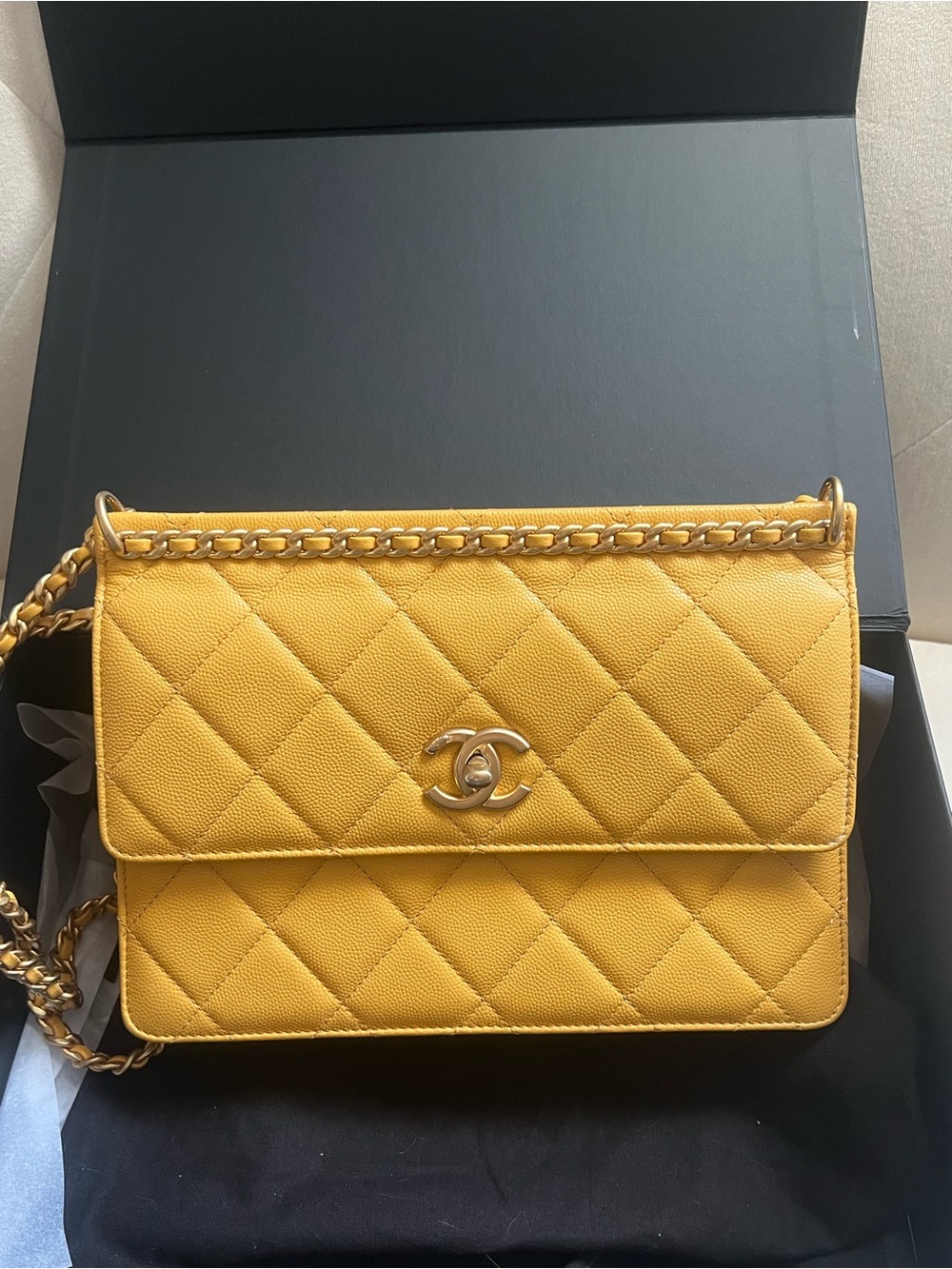 Chanel Caviar Frame Chain Flap Bag